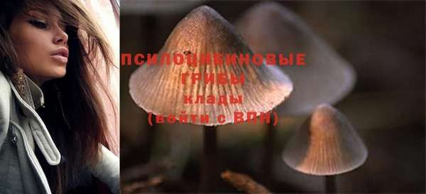 молекула духа Аркадак