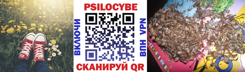 блэк спрут вход даркнет сайт Правдинск Галлюциногенные грибы Psilocybe